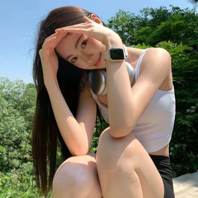 笨鸟