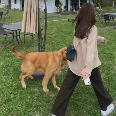 婚词离曲第三季
